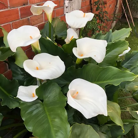 Maison Pierre Avec Piscine * Bordeaux