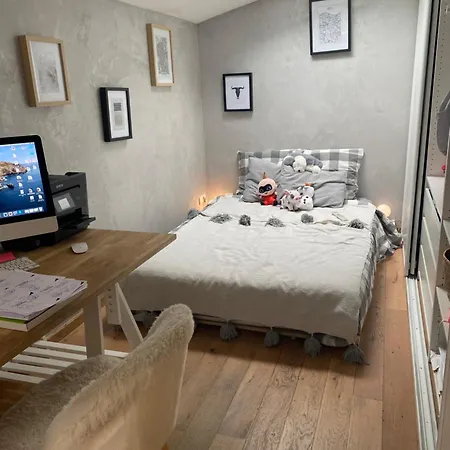 Maison Pierre Avec Piscine ボルドー