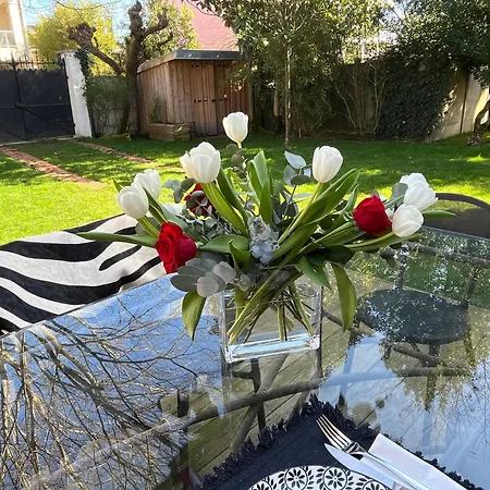 Maison Pierre Avec Piscine *