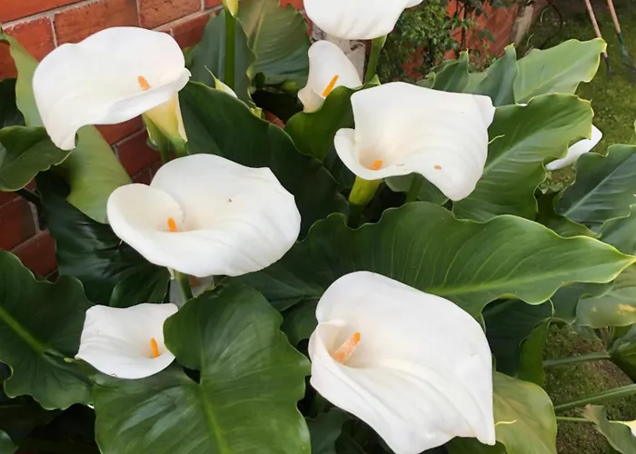 Maison Pierre Avec Piscine * 보르도